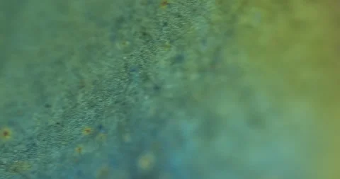 Macro metal moving 1 스톡 동영상 188678323