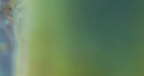 Macro metal moving 3 스톡 동영상 188680570