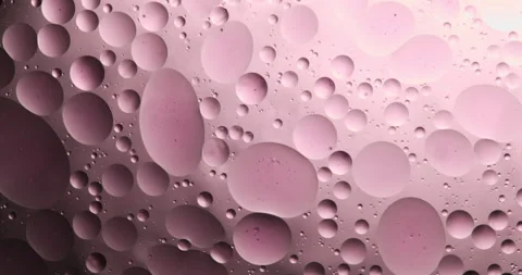 Macro of micro particles molecules analyzed with microscope  in laboratory Stock Footage 268420895