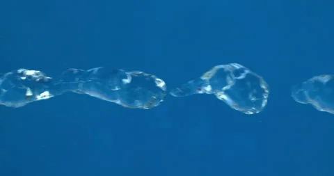 Macro of micro particles molecules analyzed with microscope in laboratory Video stock 269403679