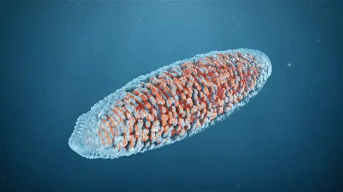 Macro Microbe On Blue Background Stock Footage 116602647