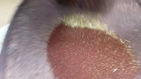Macro of Millet Shaking inside Bamboo Winnowing Basket Видео 340114782