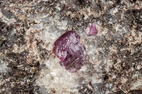 Macro of a mineral Ruby stone on a white background Stock Photos