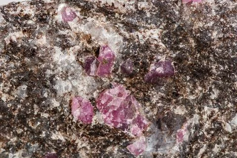 Macro of a mineral Ruby stone on a white background Stock Photos