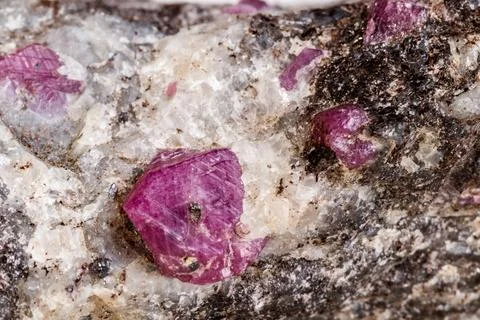 Macro of a mineral Ruby stone on a white background Stock Photos