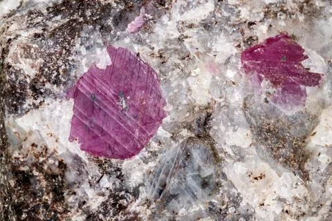 Macro of a mineral Ruby stone on a white background 스톡 사진