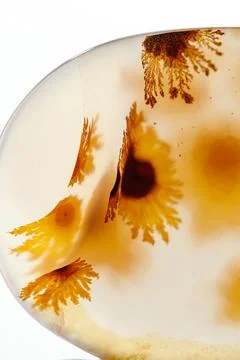 Macro mineral stone Moss Agate, Agate muschiataan white Stock Photos