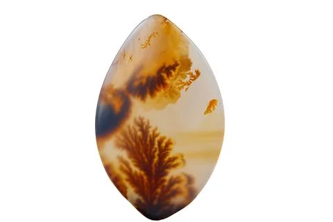 Macro mineral stone Moss Agate, Agate muschiataan white Stock Photos