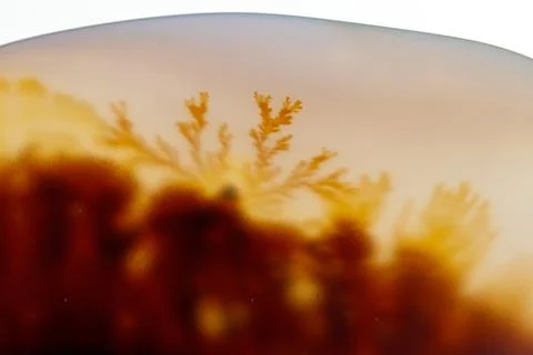 Macro mineral stone Moss Agate, Agate muschiataan white Stock Photos