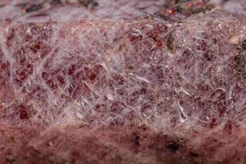 Macro mineral stone Ruby in the breed a white background 写真素材