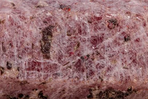 Macro mineral stone Ruby in the breed a white background 스톡 사진