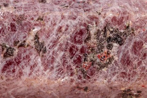 Macro mineral stone Ruby in the breed a white background 스톡 사진