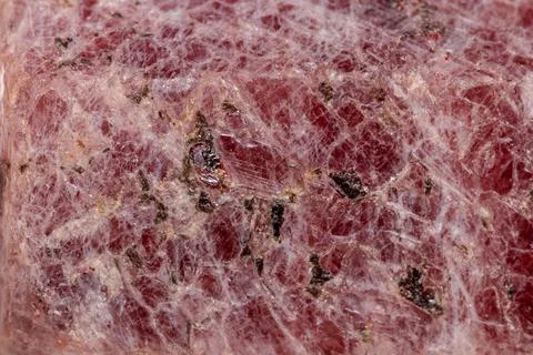 Macro mineral stone Ruby in the breed a white background Stock Photos