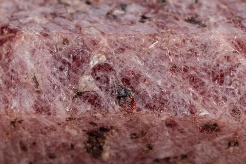 Macro mineral stone Ruby in the breed a white background 写真素材