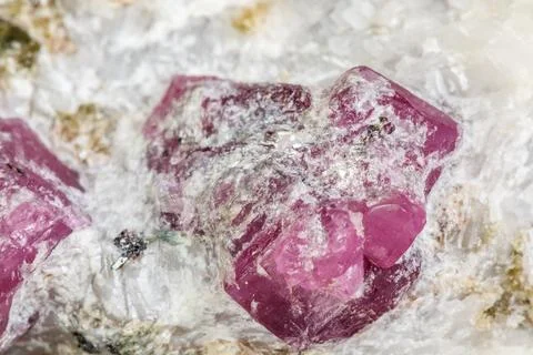 Macro mineral stone Ruby in rock on white background Stock Photos