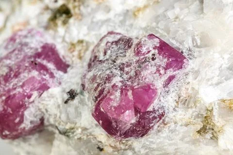 Macro mineral stone Ruby in rock on white background Stock Photos