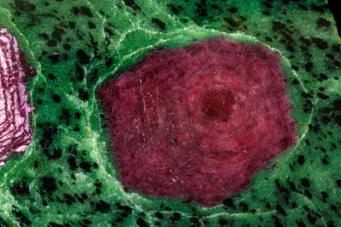 Macro of mineral stone ruby in rock on black background Stock Photos