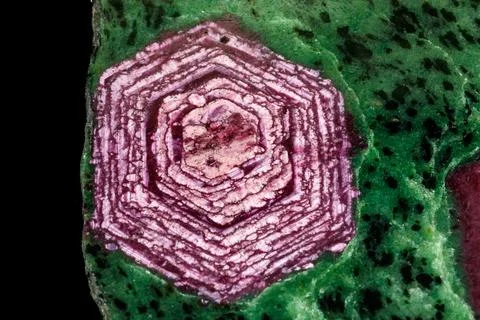 Macro of mineral stone ruby in rock on black background Stock Photos