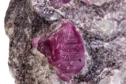 Macro mineral stone ruby on a white background Stock Photos