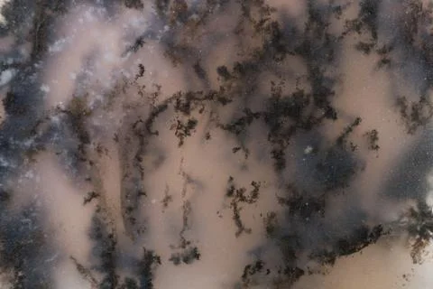 Macro of a Moss Agate slab. Stock Photos