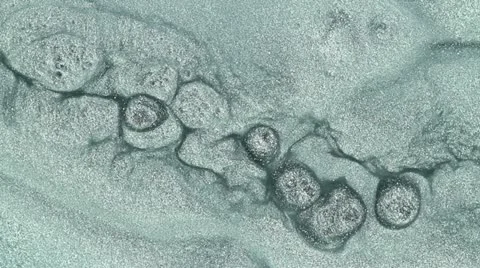 Macro movement of fluids Vidéo 12185070