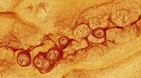 Macro movement of fluids Stock Footage 12612861