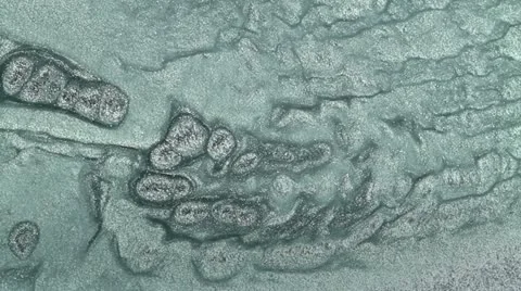 Macro movement of fluids Stock Footage 12721569