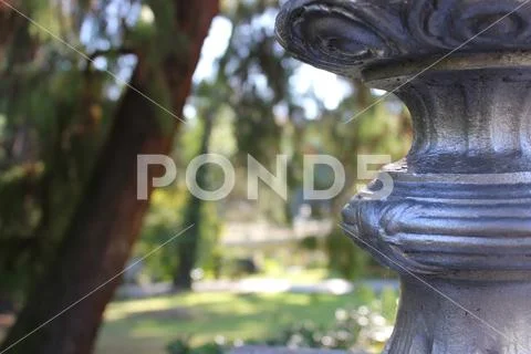 Macro nature greens trees nature nature watch vase Stock Photos