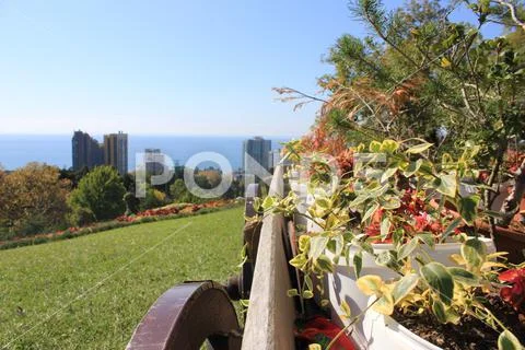 Macro nature greens trees sea city houses cart with flowers Stock Photos