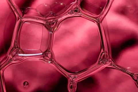 Macro net of pink soap bubbles texture Photos