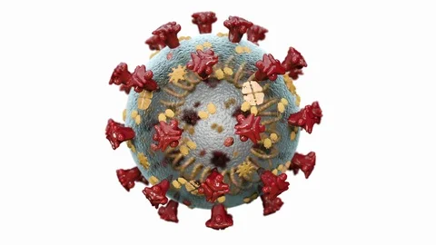 Macro Nucleus Coronavirus Cells Spreading and Floating in Organism illustration Stock-Footage 126964333
