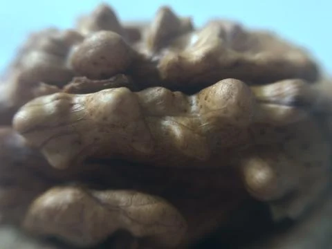 Macro of a nut Stock Photos