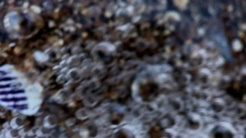 Macro ocean wave foam rushing in Stock Footage 100600874