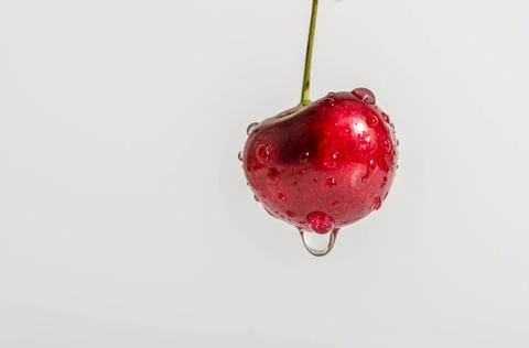Macro of one beautiful cherry 스톡 사진