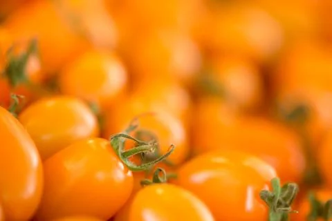 Macro of orange cherry tomatoes Stock Photos