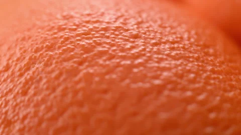 Macro orange peel with smooth focus shift across citrus texture Vidéo 330466891