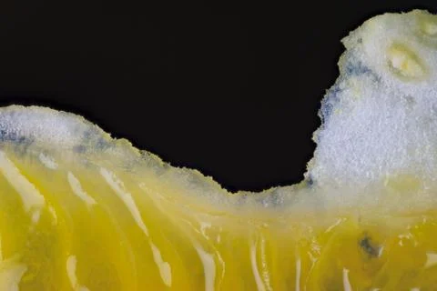 Macro of orange pulp Stock Photos