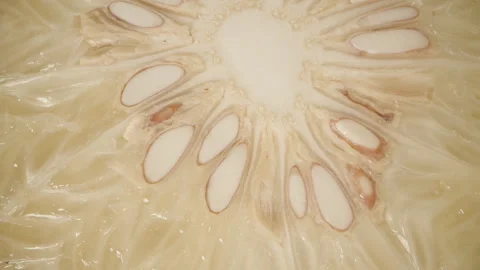 Macro Overhead View of Pomelo Cross-Section Showing Symmetrical Arrangement of Stock Footage 311027093