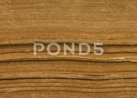 Macro pages Stock Photos