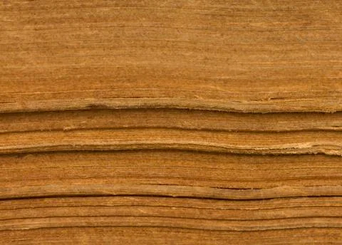 Macro pages Stock Photos