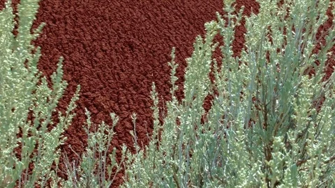 Macro painted hills john day fossil beds 1 Painted Hills Oregon 15 Stock-Footage 81769821