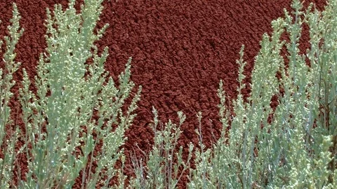 Macro painted hills john day fossil beds 3 Painted Hills Oregon 17 Stock Footage 81770554