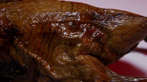 Macro pan of crispy roasted duck skin and leg Stock Footage 328136033