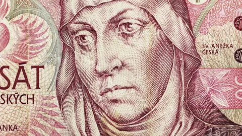 Macro Pan of Czech 50 Korun Banknote Portrait with Czech Text Stock Footage 316878370
