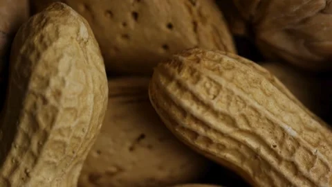 Macro pan over peanuts almonds and walnuts in shells Video stock 328084251