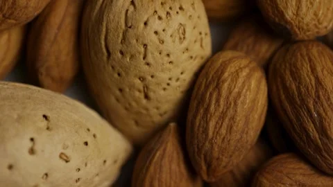 Macro panning shot across textured brown almond shells surface Stock Footage 327910962