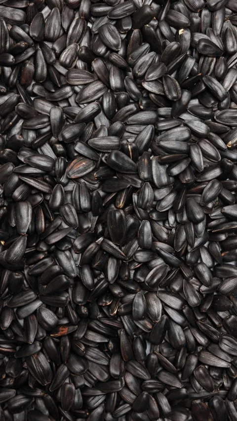Macro panning shot of black organic sunflower seeds. Vertical Stock Footage 341877453