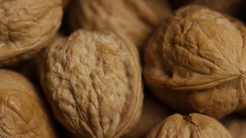 Macro panning shot over brown textured walnut shells background Stock Footage 327948241