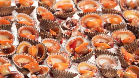 Macro Panning Video Of Plentiful Shucked Blood Cockles Background Stock Footage 336512331