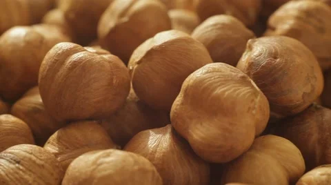 Macro panorama of peeled hazelnuts. Close up slow dolly shot. Stock Footage 62449617